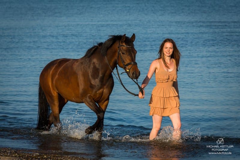 Pferd am Ostseestrand